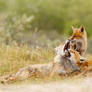 In a Family Portrait...
