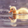Cute Power - Yellow Duckling
