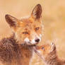Father and Daughter + Cover Outdoor Photographer