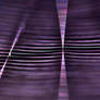 Stairways to Heaven - Abstract Nature Photography