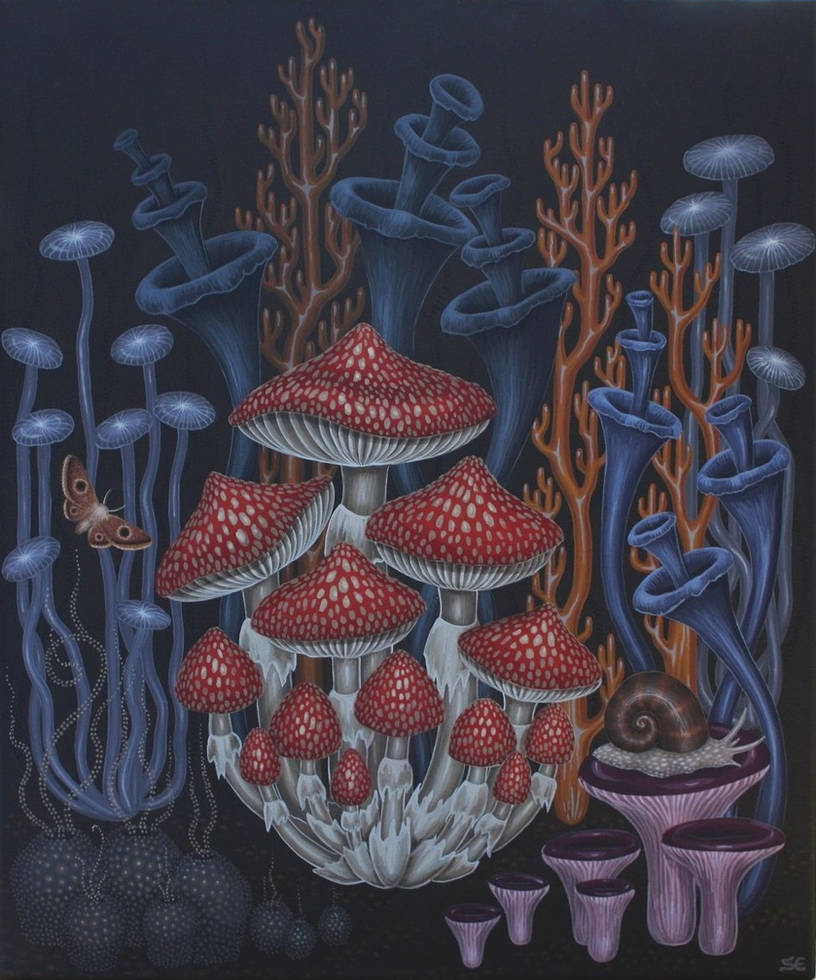 Mushrooms 2 by sofiaeinarsson