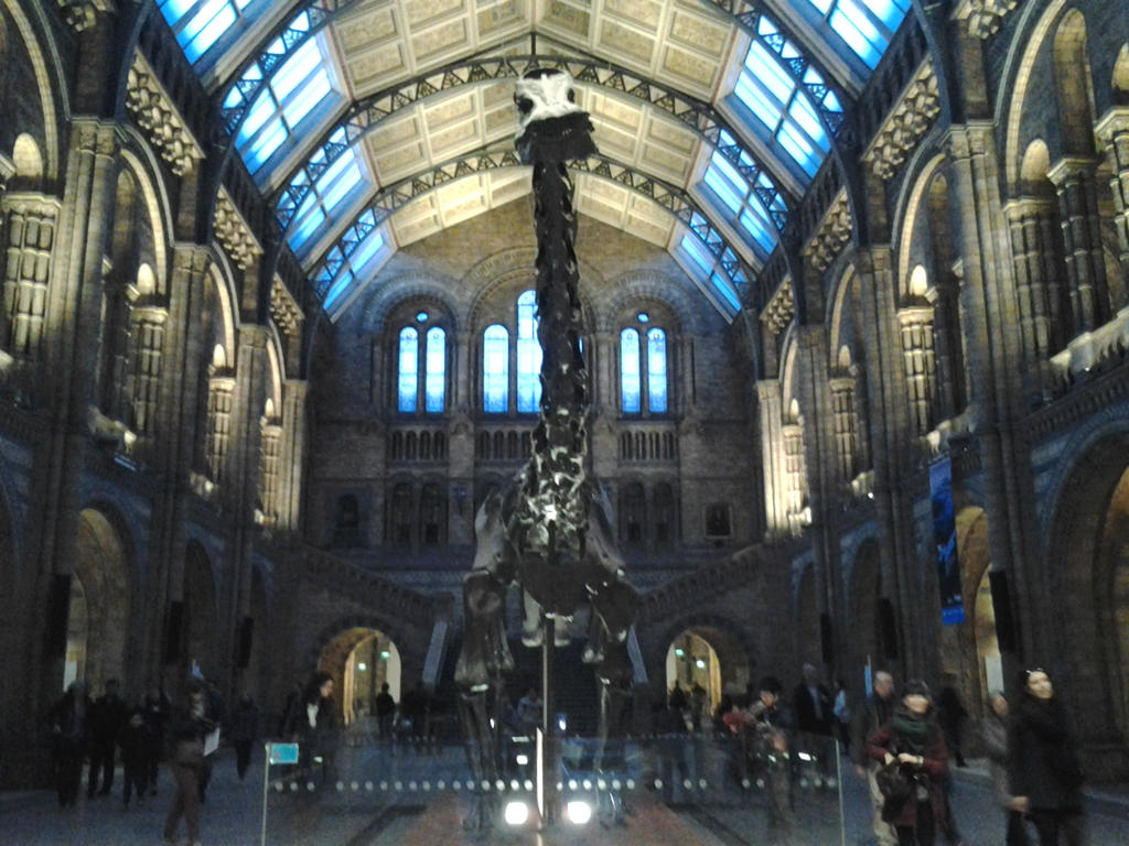 British Museum of Ntural History- the Hintze Hall