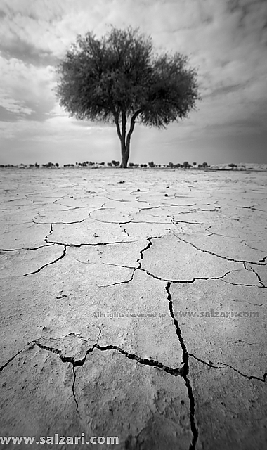 Arid Land