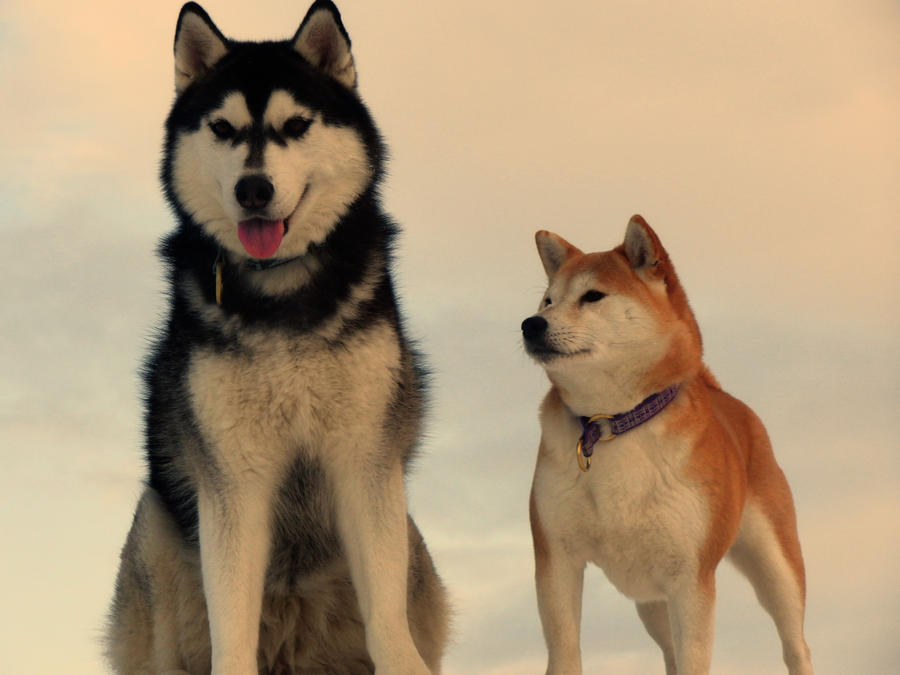 2. Выносливость и физическая сила