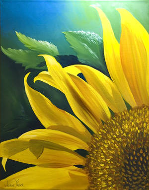 Sunflower Again by missvanessafly Sunflower Again by missvanessafly