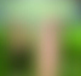 Aylin and the mysterious island - cover