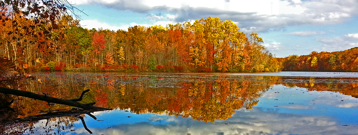 French Creek Panorama