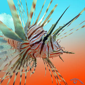 Lavish Lionfish by FauxHead