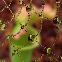 Pitcher Plant Web Drops