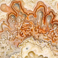 Crazy Lace Agate 2