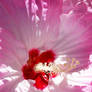 Inside A Pink Hibiscus