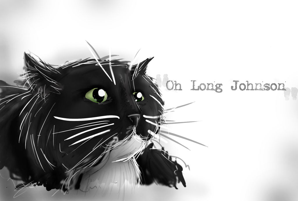 Oh Long Johnson by Skyao on DeviantArt