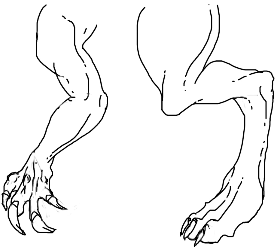 Dragon arm and leg with claws by Artermus9 on DeviantArt Dragon arm and leg with claws by Artermus9 on DeviantArt