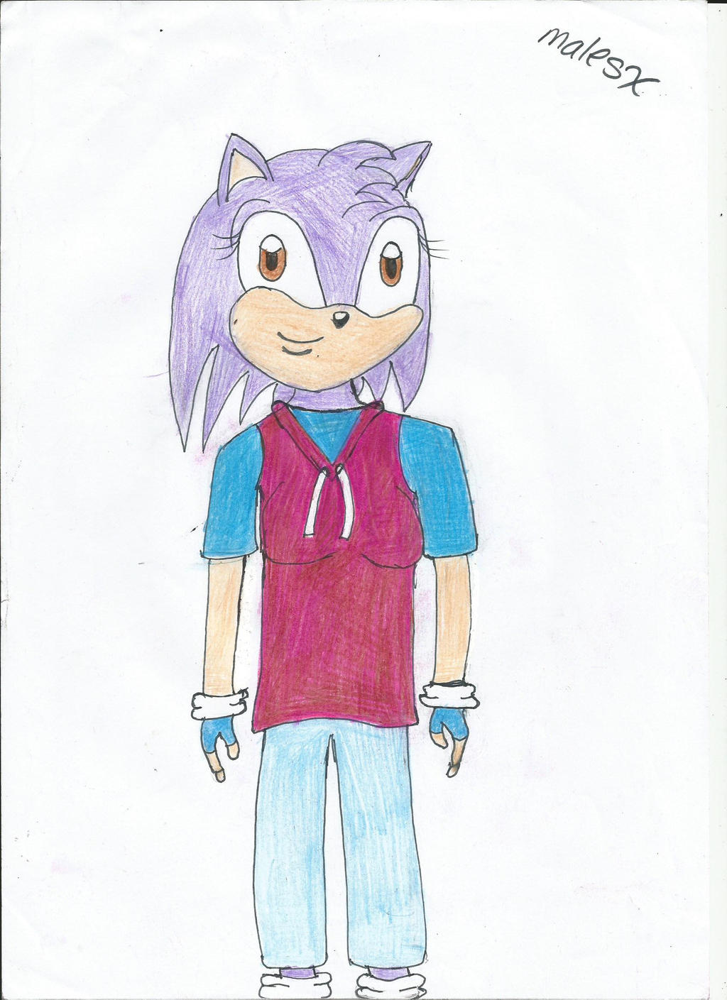 Blizzard the hedgehog: