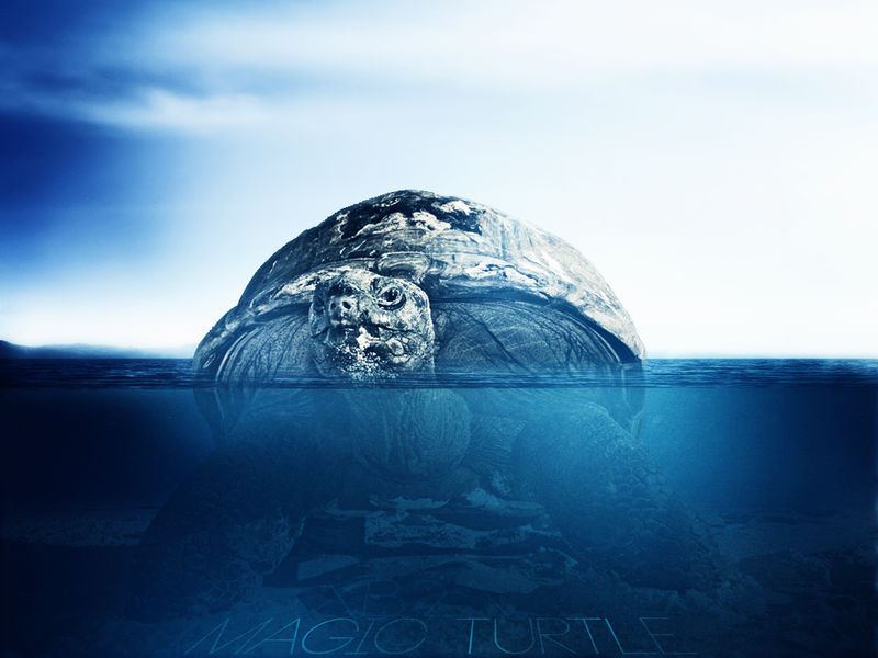 Magic Turtle Wallpaper copy by XB21 on DeviantArt