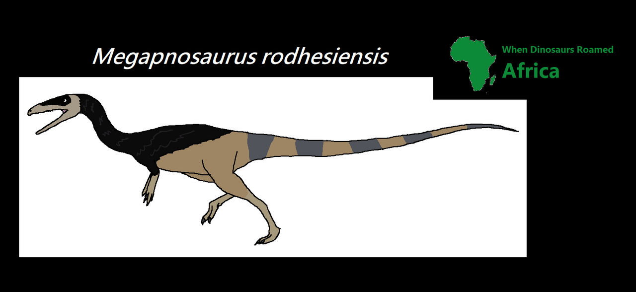 When Dinosaurs Roamed Africa: Megapnosaurus by Rpetersi on DeviantArt