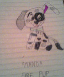 Paw Patrol OC: Amanda the fire pup!