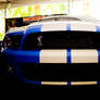 Shelby Mustang