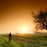 the seventh day