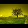 walking on green planet