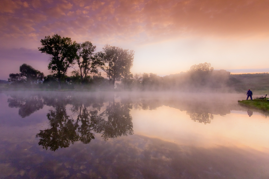 last man in the fog