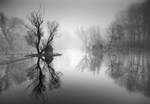 through the misty air III. by arbebuk