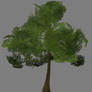 Low Poly Tree - 02