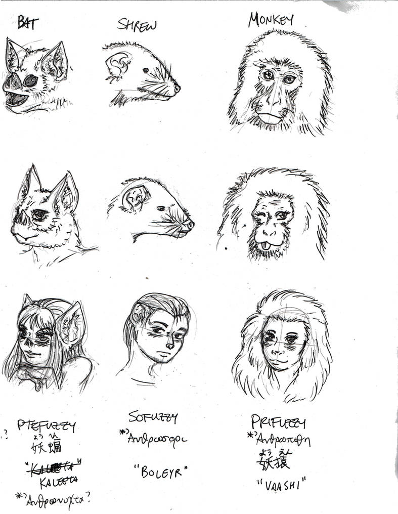 Beastfolk races page 02B by AmethystSadachbia on DeviantArt