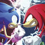 Sonic Vs Knuckles icon