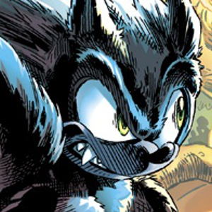 Sonic the werehog icon