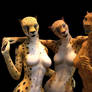 3 Cheetahs?
