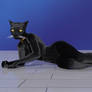 Black Cat Lounge