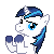 Clapping Pony Icon - Shining Armor