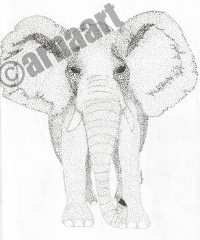 Elephant.jpg copyright