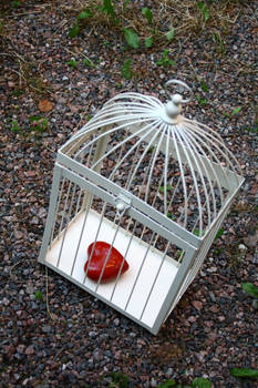 heart cage