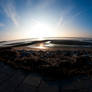 Tag am Meer 1