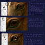 Horse Eye Tutorial