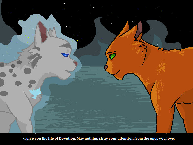 Warrior Cats is Life