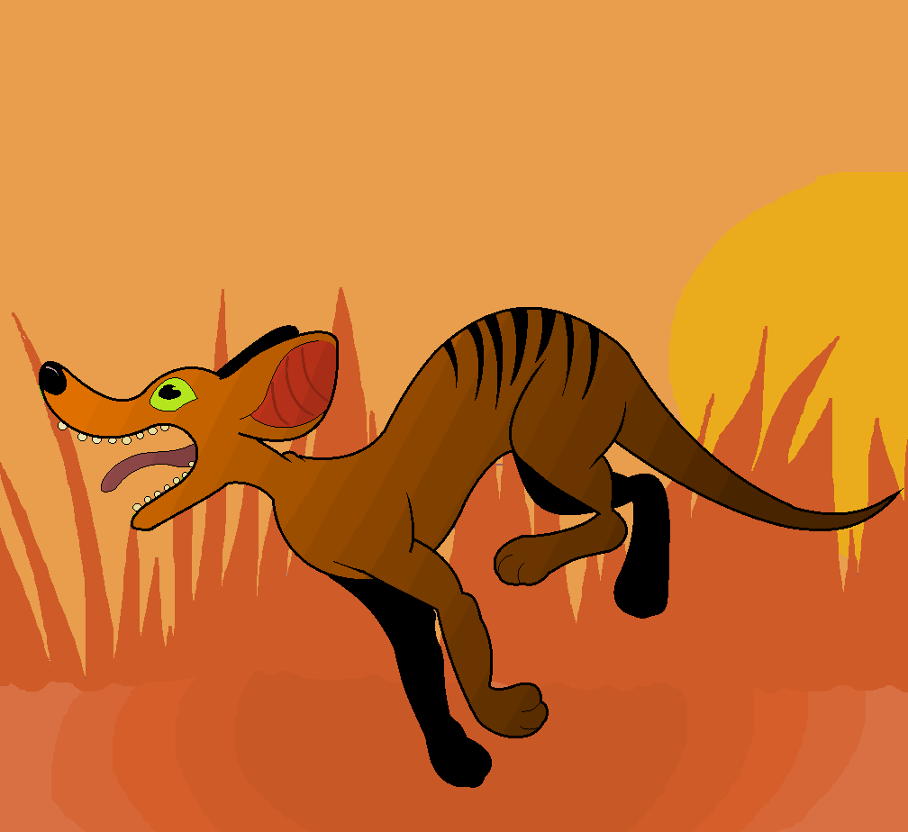 Thylacine