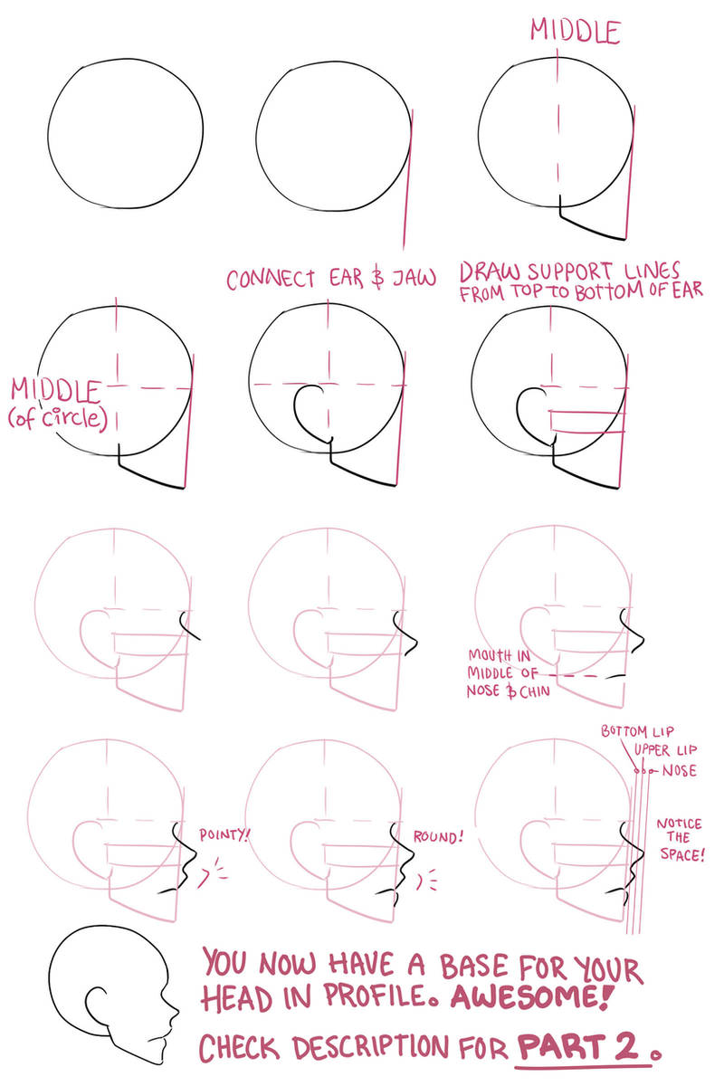 Face profile tutorial part 1 by Lily-Draws