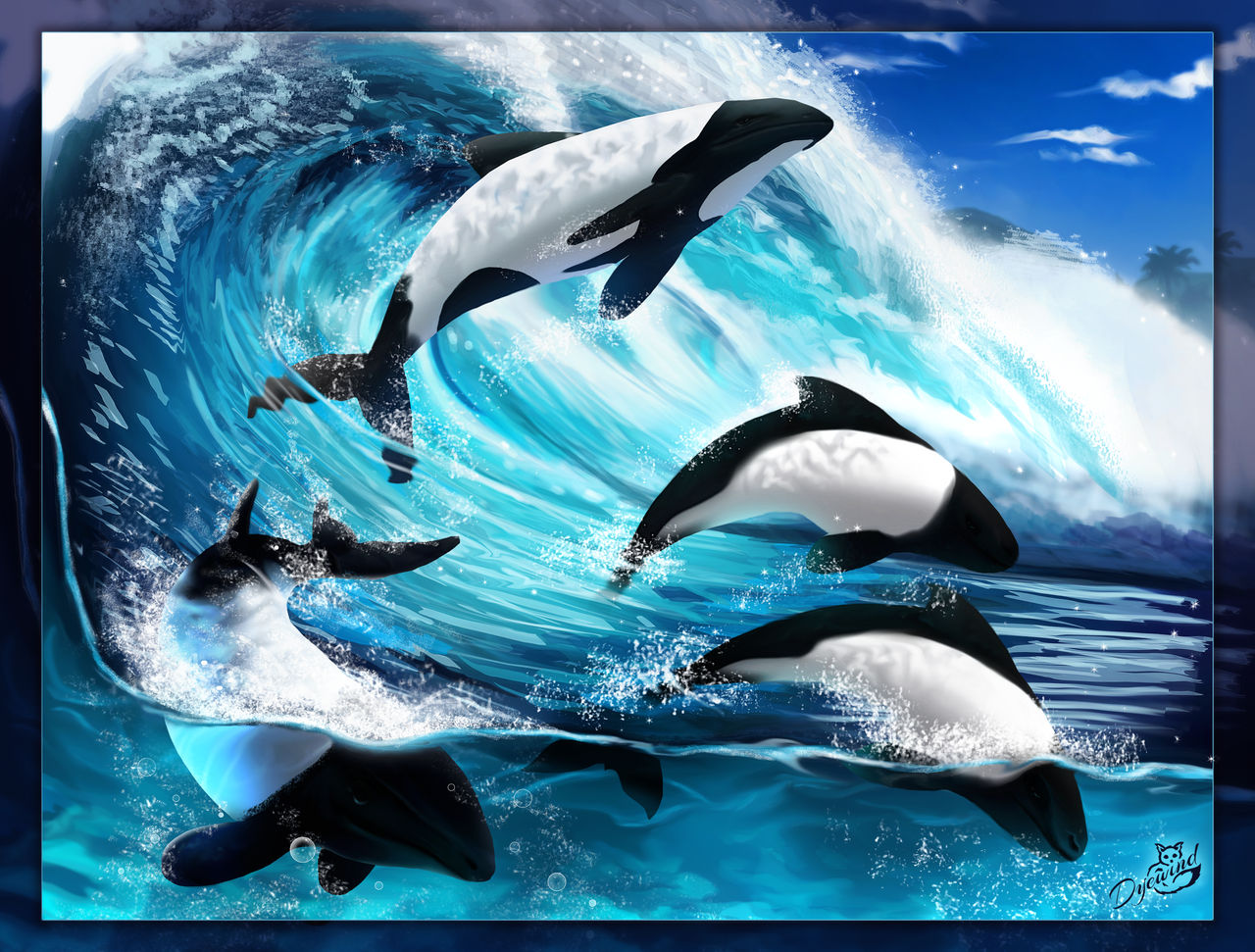 Commerson's Dolphin by Dyewind on DeviantArt