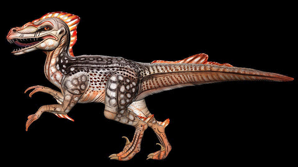 Ray Raptor Raptor by Dyewind on DeviantArt
