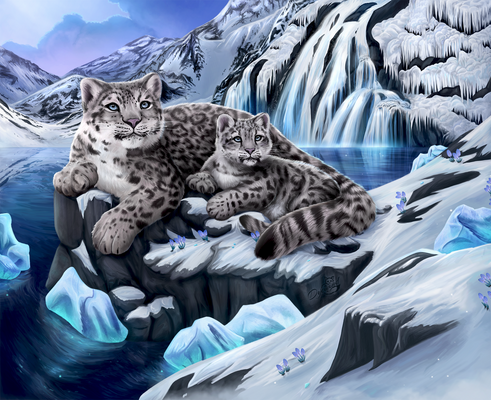 Snow Leopards