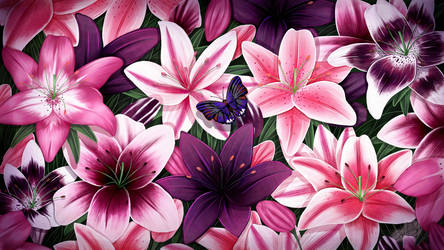 Purple And Pink Lilies