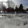 Pond In Winter