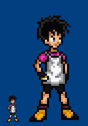 Videl -Test-