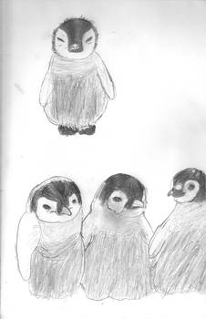 Baby Penguin sketches