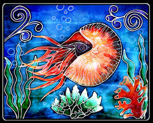 -caverned nautilus in silk look-