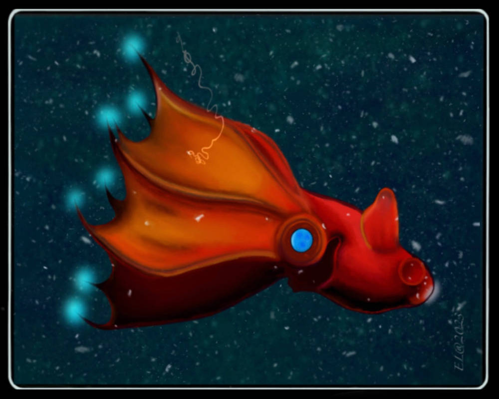 -the vampire squid- by Gold-Angel on DeviantArt
