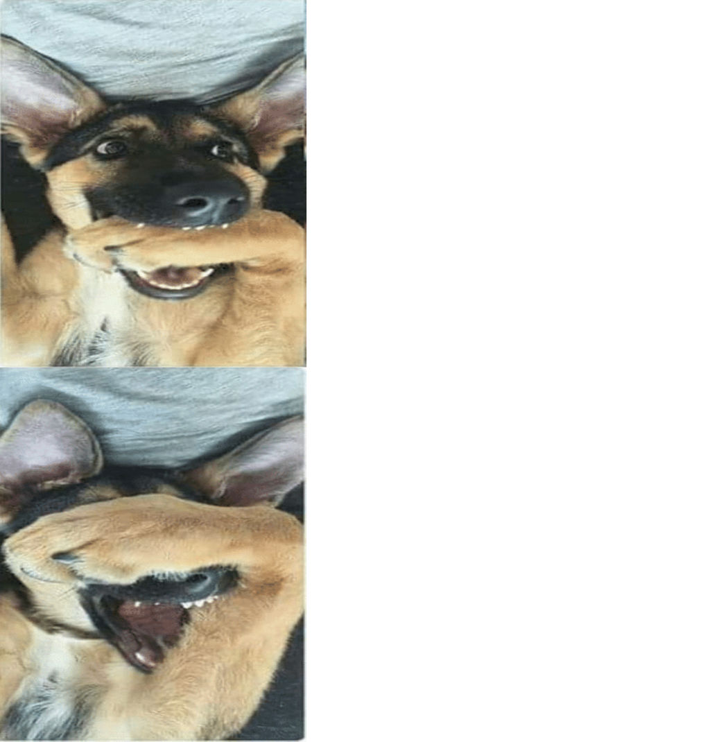 Doge Meme Templates Imgflip